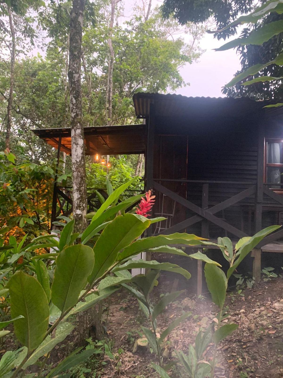 Hotel Quiloma Ranch Palenque Bagian luar foto