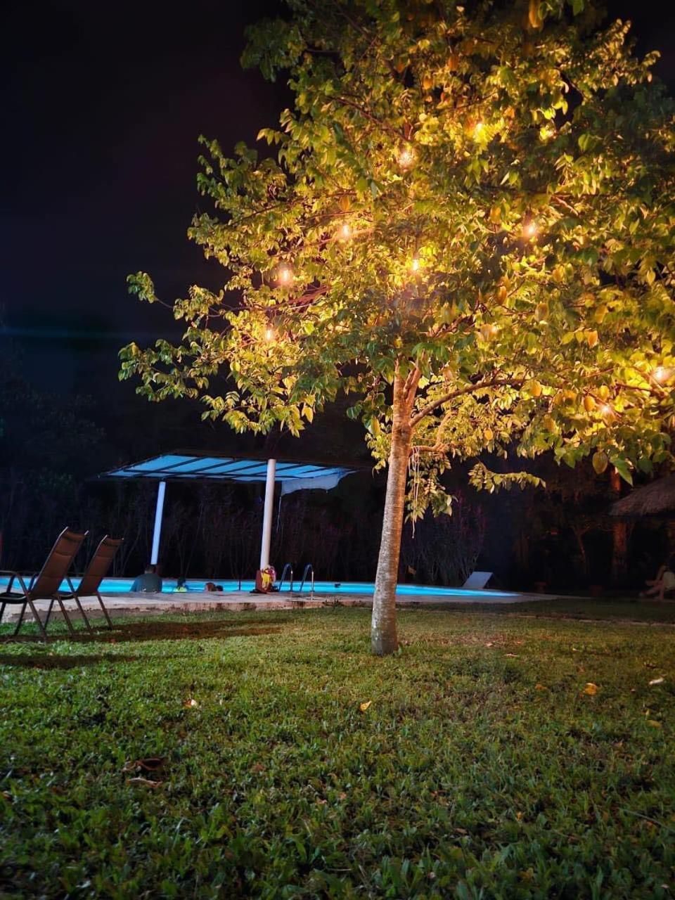 Hotel Quiloma Ranch Palenque Bagian luar foto
